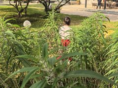 -怡咖啡·自助餐·西安香格里拉