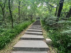 -句容茅山景区