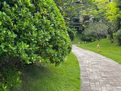 -西双版纳融创皇冠假日度假酒店