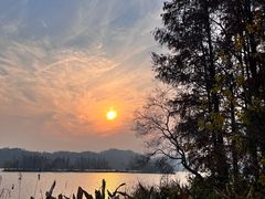 -东湖落雁景区