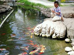 -南通洲际绿博园