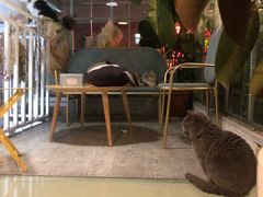 -小时光咖啡馆(北锣鼓巷店)