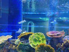 -成都浩海立方海洋公园