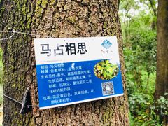 -云溪植物园