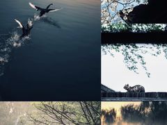 -扬州古运河