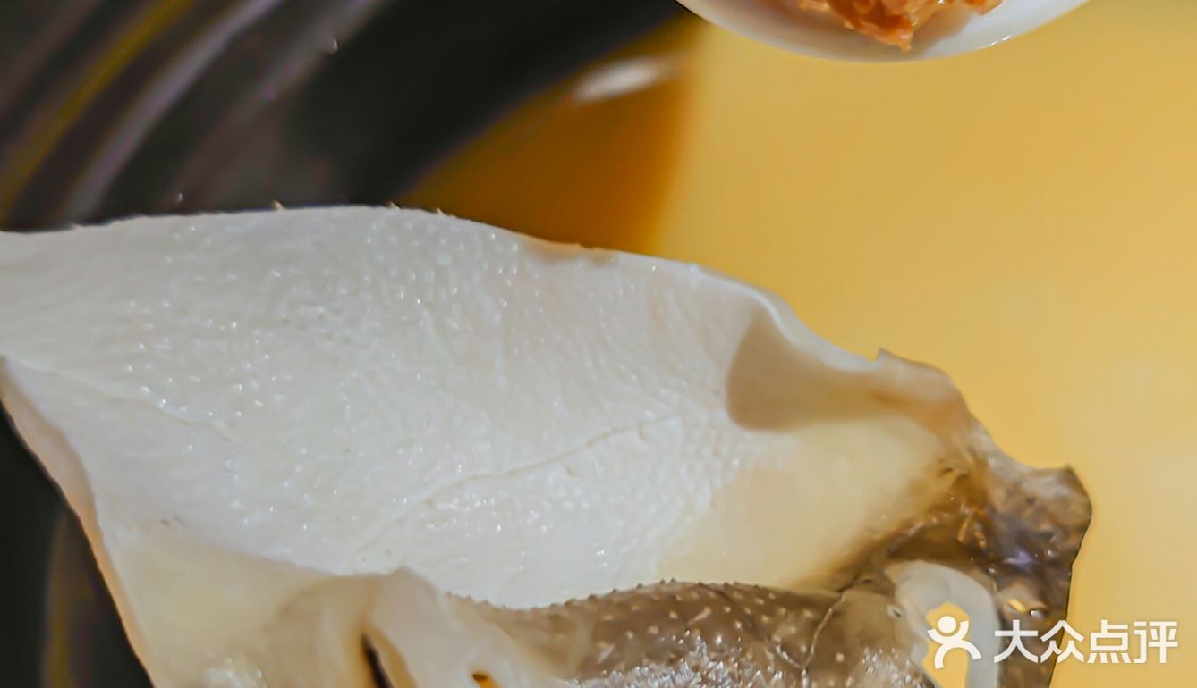 鲜美又貌美的河豚🐡鱼汤锅，秋膘贴起来！