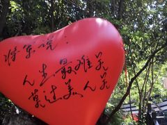 -将军关探险漂流