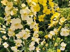 -中国天府农业博览园