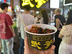 -武爹臭豆腐(坡子街店)