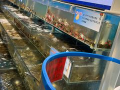 -仙螺岛海鲜自助餐厅(总店)