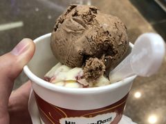 -哈根达斯(天河城店)