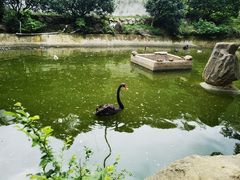 -南京老山国家森林公园