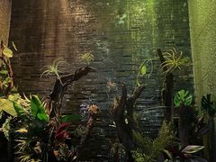 -泰适SPA馆丨精油·按摩·足道(后海地铁口店)