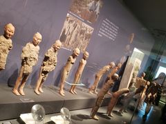 -汉景帝阳陵博物院