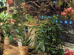 -云之南(八里庄店)