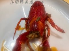 -小田油焖小龙虾(双井店)