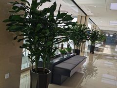 -哈尔滨市民大厦