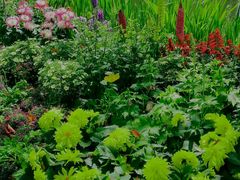 -上海共青森林公园