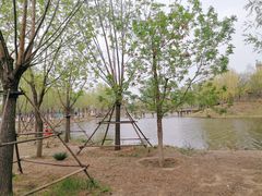 -东郊湿地公园