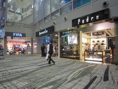 -PEDRO(Jewel Changi Airport)