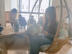 -Husky Go! 哈士奇体验馆·宠物咖啡厅狗咖