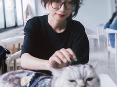 -喵的天空名猫咖啡馆·撸猫·猫舍·用品