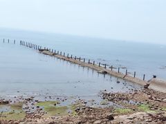 -青岛第二海水浴场