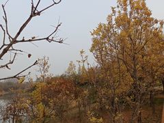 -东郊湿地公园
