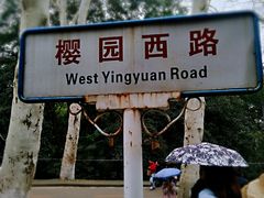 -武汉大学-樱园