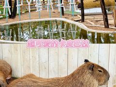 -南戴河国际娱乐中心