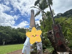 -野象谷景区