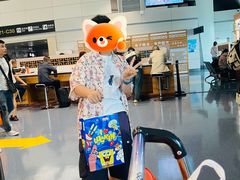 -重庆江北国际机场-T2航站楼