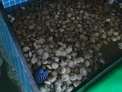 -面道赞宁海海鲜面(迎凤街店)