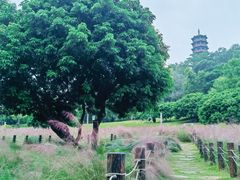 -红花山公园