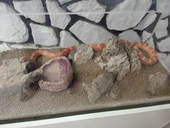 -海合安武汉极地海洋公园