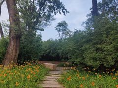 -老虎石海上公园