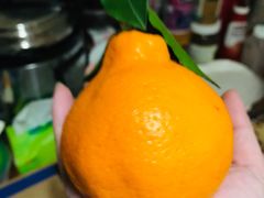 -西郊国际农产品交易中心