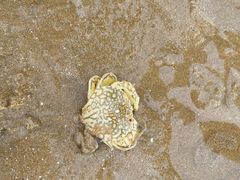 -青岛银沙滩