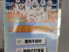-星多哈·狗咖·拼豆·咖啡