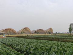 -中国天府农业博览园