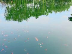 -西安汉城湖景区