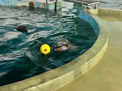 -北戴河圣蓝海洋公园