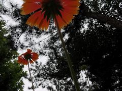 -长辛店二七公园