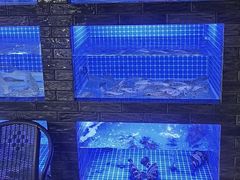 -聚宝渔港.五钻酒家(上地店)