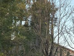 -王府井天主教堂