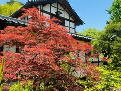 -常寂光寺
