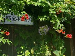 -斯多格书乡(北京大学畅春园店)
