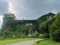-府河摄影公园