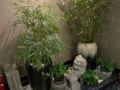 -姗娜娜足道·SPA(古北店)