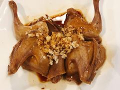 -百利鸽王(紫薇路店)